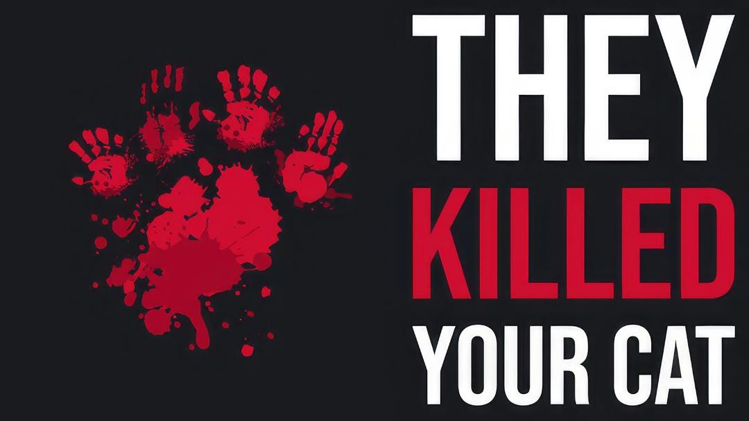 They Killed Your Cat — krótki i intensywny FPS już dostępny na PC