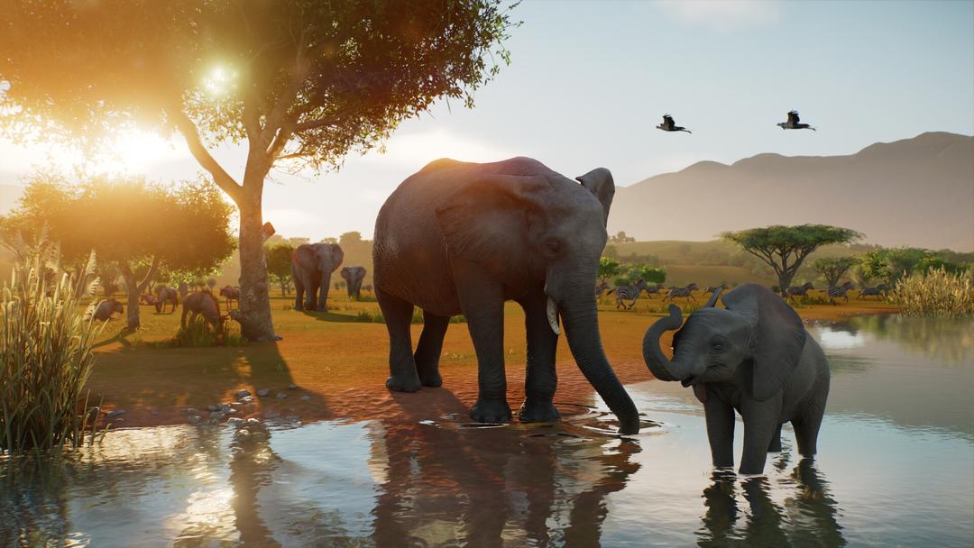 Planet Zoo 2 pokazuje gameplay – nowy zwiastun z PC Gaming Show ujawnia więcej szczegółów